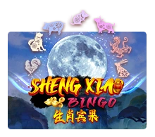 Sheng Xiao Bingo - JETPLANE168