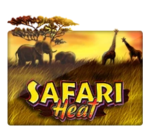 Safari Heat - JETPLANE168