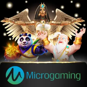 Microgaming - JETPLANE168