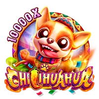 CHILIHUAHUA - JETPLANE168