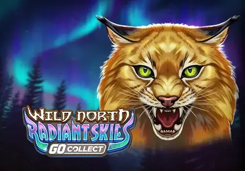 Wild North Radiant Skies GO Collect - JETPLANE168