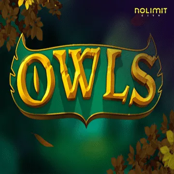 Owls - JETPLANE168