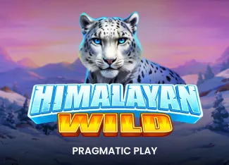 Himalayan Wild - JETPLANE168