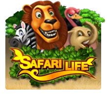 Safari Life - JETPLANE168
