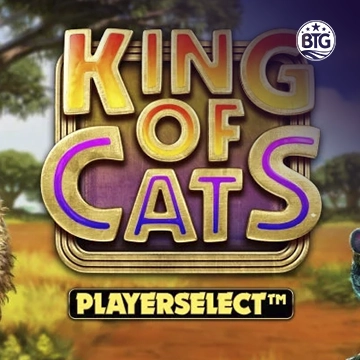 King of Cats - JETPLANE168