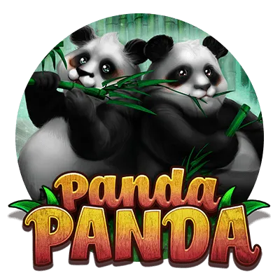 Panda Panda - JETPLANE168