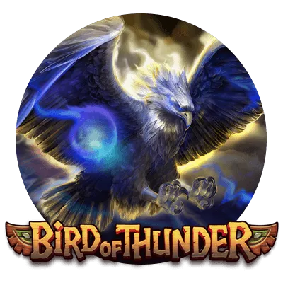 Bird of Thunder - JETPLANE168