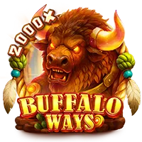 BUFFALO WAYS - JETPLANE168