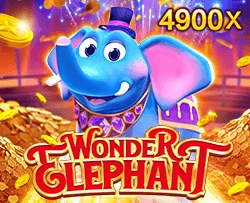 Wonder Elephant - JETPLANE168