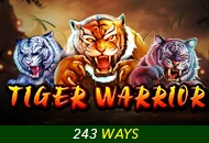 Tiger Warrior - JETPLANE168