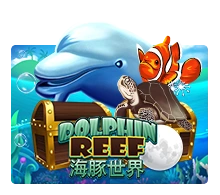 Dolphin Reef - JETPLANE168