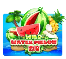 Wild Watermelon - JETPLANE168