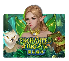 Enchanted Forest - JETPLANE168