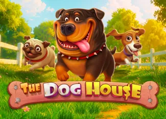 The Dog House - JETPLANE168