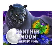 Panther Moon - JETPLANE168