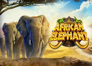 African Elephant - JETPLANE168