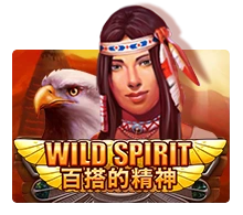 Wild Spirit - JETPLANE168